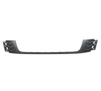 BLIC 6502-07-9534920P Trim/Protective Strip, bumper for VW