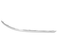 BLIC 6502-07-9547973P Bumper moulding