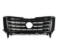 BLIC 6502-07-9564991P Radiator Grille for VW