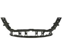 BLIC 6502-08-2586200P Radiator Support for FORD USA