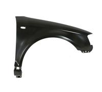 BLIC 6504-04-0026312P Wing for AUDI