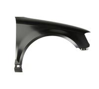 BLIC 6504-04-0026314P Wing for AUDI
