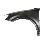 BLIC 6504-04-0046311P Wing for AUDI