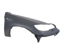 BLIC 6504-04-0099314P Wing for BMW