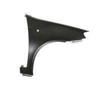 Front Right Fender Fits: FIAT PUNTO II 03.09-03.12