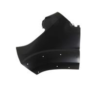 BLIC 6504-04-2098313P Wing for CITROËN,FIAT,PEUGEOT