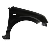 BLIC 6504-04-2576312P Wing for FORD,FORD USA