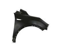 BLIC 6504-04-2579312P Wing for FORD