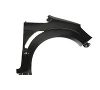 BLIC 6504-04-2583312P Wing for FORD