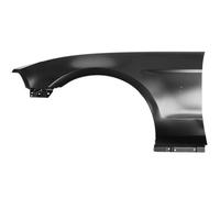 BLIC 6504-04-2585317P Wing for FORD USA