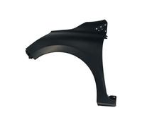BLIC 6504-04-6034311P Wing for RENAULT