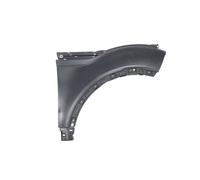 BLIC 6504-04-6456312Q Wing for LAND ROVER