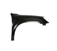 BLIC 6504-04-7535312P Wing for SKODA