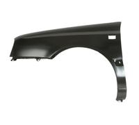 BLIC 6504-04-9542311P Wing for VW
