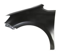 BLIC 6504-04-9591311P Wing for SEAT,VW