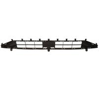 BLIC 6509-01-2537910P Bumper grill