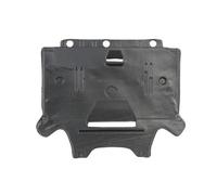 BLIC 6601-02-0029875P Silencing Material, engine bay