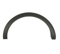 BLIC 6601-02-2518425P Trim/Protective Strip, wing for FORD