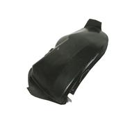 BLIC 6601-06-0000055P Liner, wheelhouse for DACIA,RENAULT