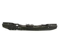 BLIC Front Bumper Grille Upper Frame Lock Carrier Fits Fiat Seicento 600