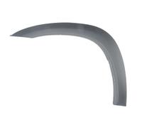 BLIC Front Left Fender Trim Molding Fits TOYOTA RAV4 II 06.00-11.05