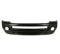 BLIC Front Lower Bumper Cover for DODGE RAM 01.02-02.05