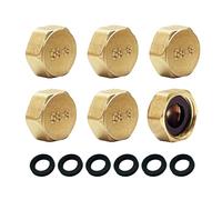 Bliceon 6Pcs 1/2 Inch Brass Blanking Cap Fittings, Female Hex Stop Nut Caps for Plumbing, Washing Machine and Radiator Valve Faucets, Durable Brass Plumbing Accessories