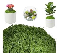 Bliceon Fake Moss for Wreath Making, Artificial Moss Indoor, 100g Fake Mosses for Crafting, Home Decoration, Wreath Making, Outdoor Plant Pot (Dark Green)