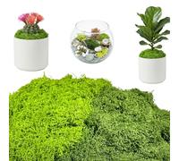 Bliceon Fake Moss for Wreath Making, Artificial Moss Indoor, 100g Fake Mosses for Crafting, Home Decoration, Wreath Making, Outdoor Plant Pot (Colour Mixing)