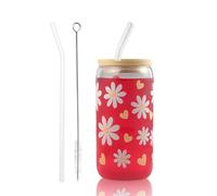 Bliceon Glass with Lid and Straw, 500 Ml Daisy and Heart Glass for Coffee, Cocktails and Beverages at Home, at Parties and on The Go, Multifunctional Drinking Glass