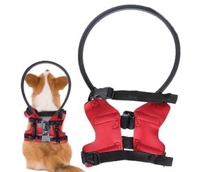 Blind Dog Bumper, Bumper Rings for Blind Dog - Safety Introduction to Comfortable Training for Adjustable Bumper | Protective Device
