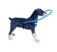 Blind Dog Bumper Guard Harness with Stable Support Ring, Crash Proof Soft Guide Collar,for Pets with Vision Loss or Sick Eyes,Lightweight Unhindered Mobility Aid(Blue,M)