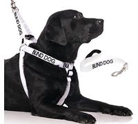 BLIND DOG (Dog Has Limited/No Sight) White Colour Coded Non-Pull Dog Harness and 60cm 1.2m 1.8m Luxury Neoprene Padded Handle Lead Sets PREVENTS Accidents By Warning Others Of Your Dog In Advance (Harness & 60cm)