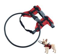 Blind Dog Guide Harness | Blind Cat Harness with Reflective Strips - Visually Impaired Pet Collar,for Walking Travel Training Outdoor Indoor