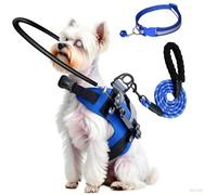 Blind Dog Halo Harness,Protective Halo Dog Collar with 5 FT Dog Leash & Reflective Collar,Bumper Halo for Build Confidence,Blind Dog Accessories (M:Recommand Weight 23-40 lbs)