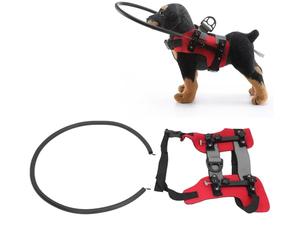 Blind Dog Harness Guiding Device, Blind Dog Harness Pet Collar for Blind and Poor Dogs Help for Blind Dogs to Avoid Collision & Build Confidence (S)