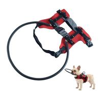 Blind Dog Harness - Pet Anti Collision Ring | Visually Impaired Cat Safety Brace | Reflective Protective Bumper Guard With Detachable Halo, Adjustable Anti-Collision Device For Blind Dogs Cats, M Size