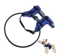 Blind Dog Harness - Reflective Strip Blind Cat Harness | Visually Impaired Animal Collar | For Walking, Travel, Education, Outdoor and Indoor