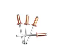 Blind Rivets 10Pcs Copper Steel Open Blind Standard Pop Rivets M2.4 M3.2 M4 .8 Decorative Rivet(M2.4,8mm)