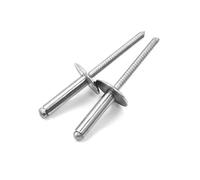 Blind Rivets Brass Blind Rivets 304 Stainless Steel Large Flat Head Dome M3.2 20 pcs M4 10 pcs M4.8 5 pcs(10mm,M3.2-20pcs)