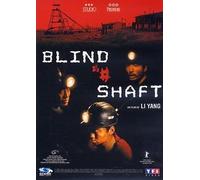 Blind Shaft