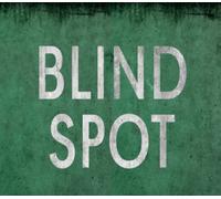BLIND SPOT PC Steam CD Key