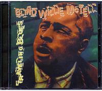 Blind Willie Mctell - Travelling Blues