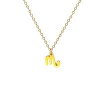 BlingNuts Gold Zodiac Sign Necklace Horoscope Constellation Astrology Charm Pendant Necklace for Birthday Christmas Anniversary, F, Stainless Steel, No Gemstone