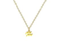 BlingNuts Gold Zodiac Sign Necklace Horoscope Constellation Astrology Charm Pendant Necklace for Birthday Christmas Anniversary, F, Stainless Steel, No Gemstone