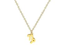 BlingNuts Gold Zodiac Sign Necklace Horoscope Constellation Astrology Charm Pendant Necklace for Birthday Christmas Anniversary, F, Stainless Steel, No Gemstone