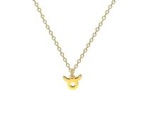 BlingNuts Gold Zodiac Sign Necklace Horoscope Constellation Astrology Charm Pendant Necklace for Birthday Christmas Anniversary, F, Stainless Steel, No Gemstone