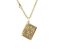 BlingNuts Holy Bible Book Pendant Necklace for Women Stainless Steel Openable Prayer Bible Verse Religious Christian Jewelry Gifts, F, Stainless Steel, No Gemstone
