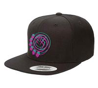 Blink 182 Double Six Arrows Snapback Baseball Cap in Black Blink 182 Black One Size