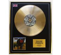 Blink 182 /Gold Disc Record Limited Edition/Dude Ranch